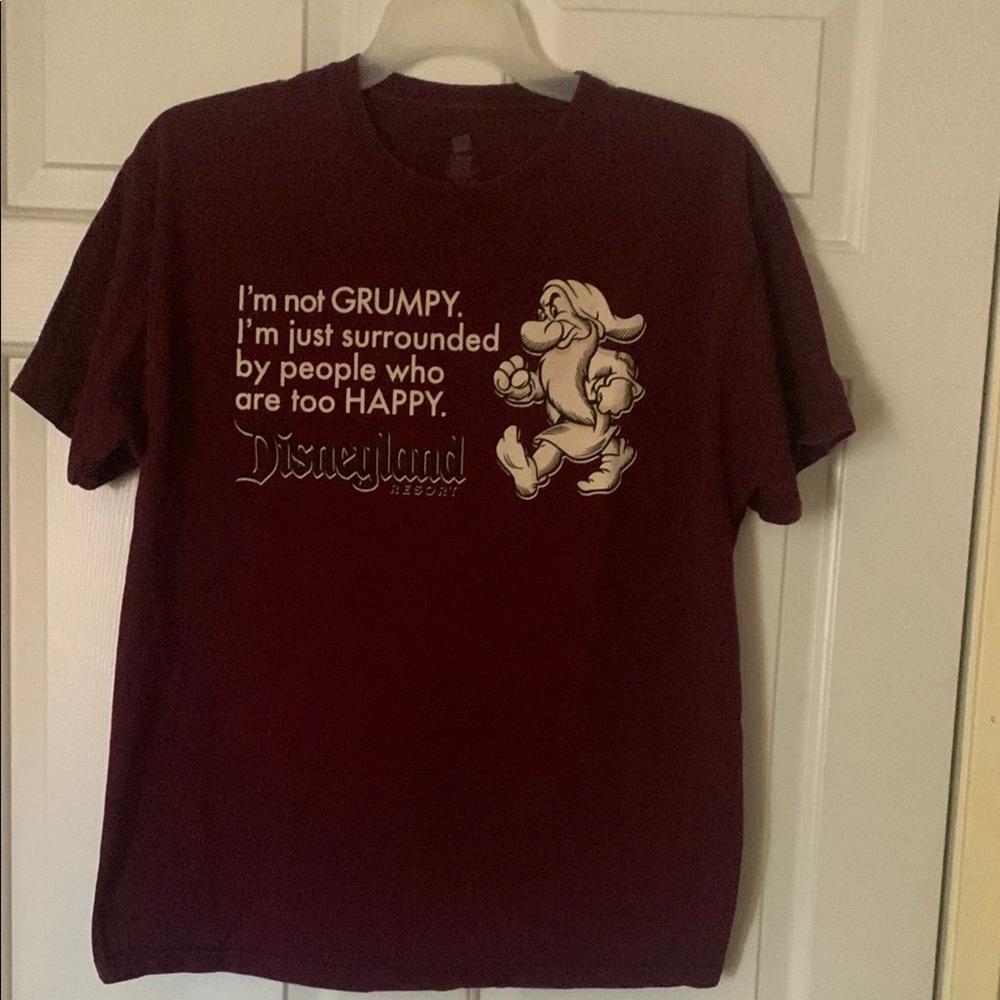 Disney Burgundy Short Sleeve Tee with Playful Graphic